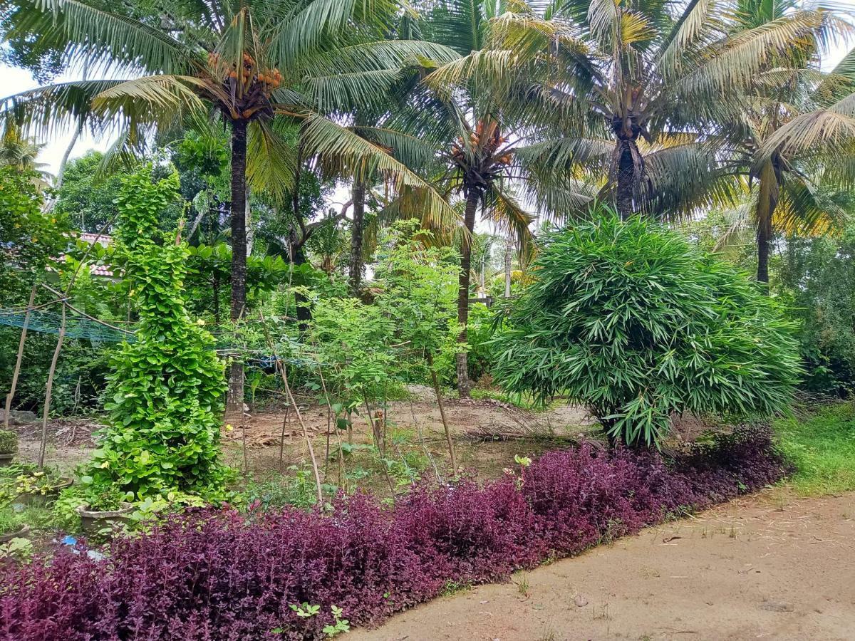 Marari Bethsaida Homestay Shertallai Exterior foto