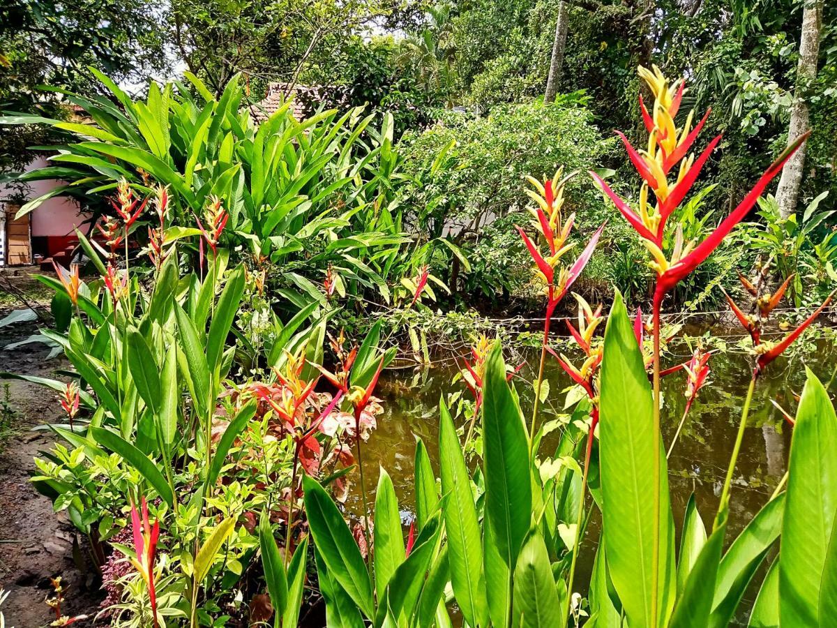 Marari Bethsaida Homestay Shertallai Exterior foto